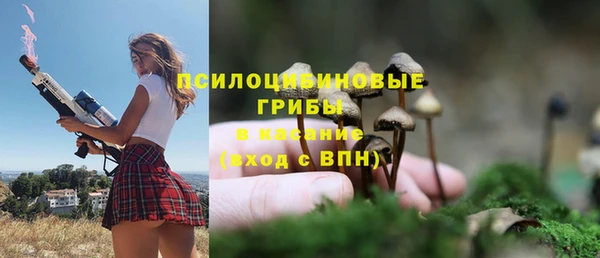 apvp Лиски