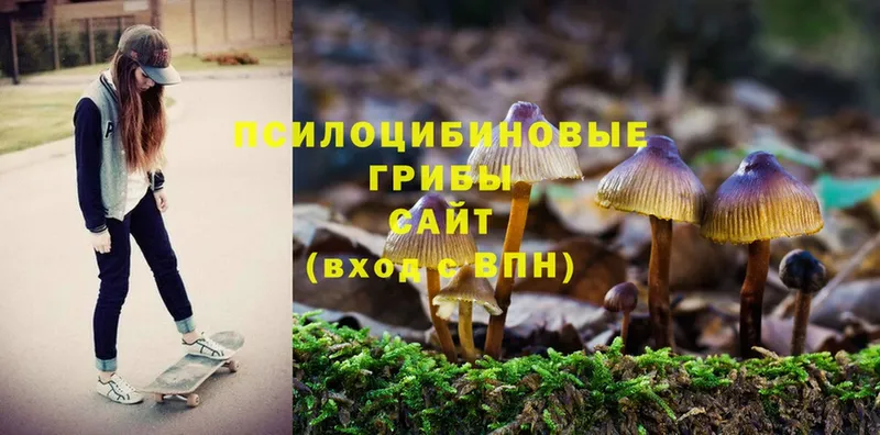 OMG зеркало  Чебоксары  Галлюциногенные грибы мухоморы 