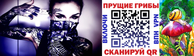 MEGA сайт  Чебоксары  Псилоцибиновые грибы мицелий 