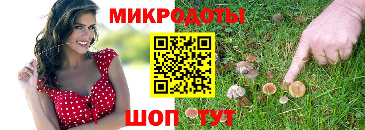 Галлюциногенные грибы прущие грибы  Чебоксары 