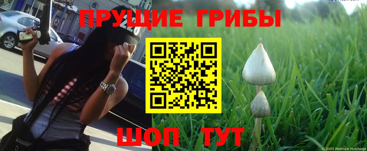Чебоксары  Галлюциногенные грибы GOLDEN TEACHER  Вход с VPN 